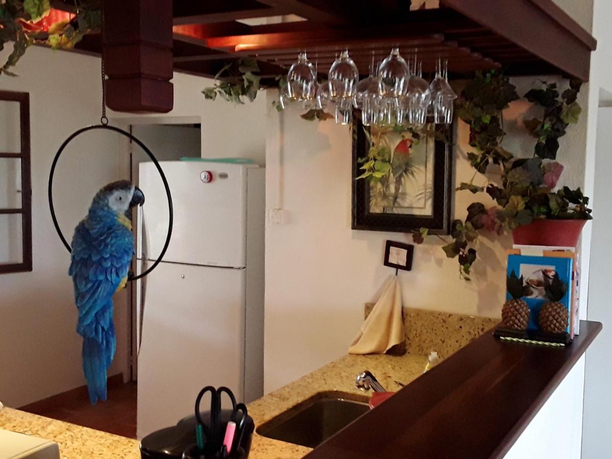 Luxurious Villa In Saint Martin Cul de Sac ภายนอก รูปภาพ