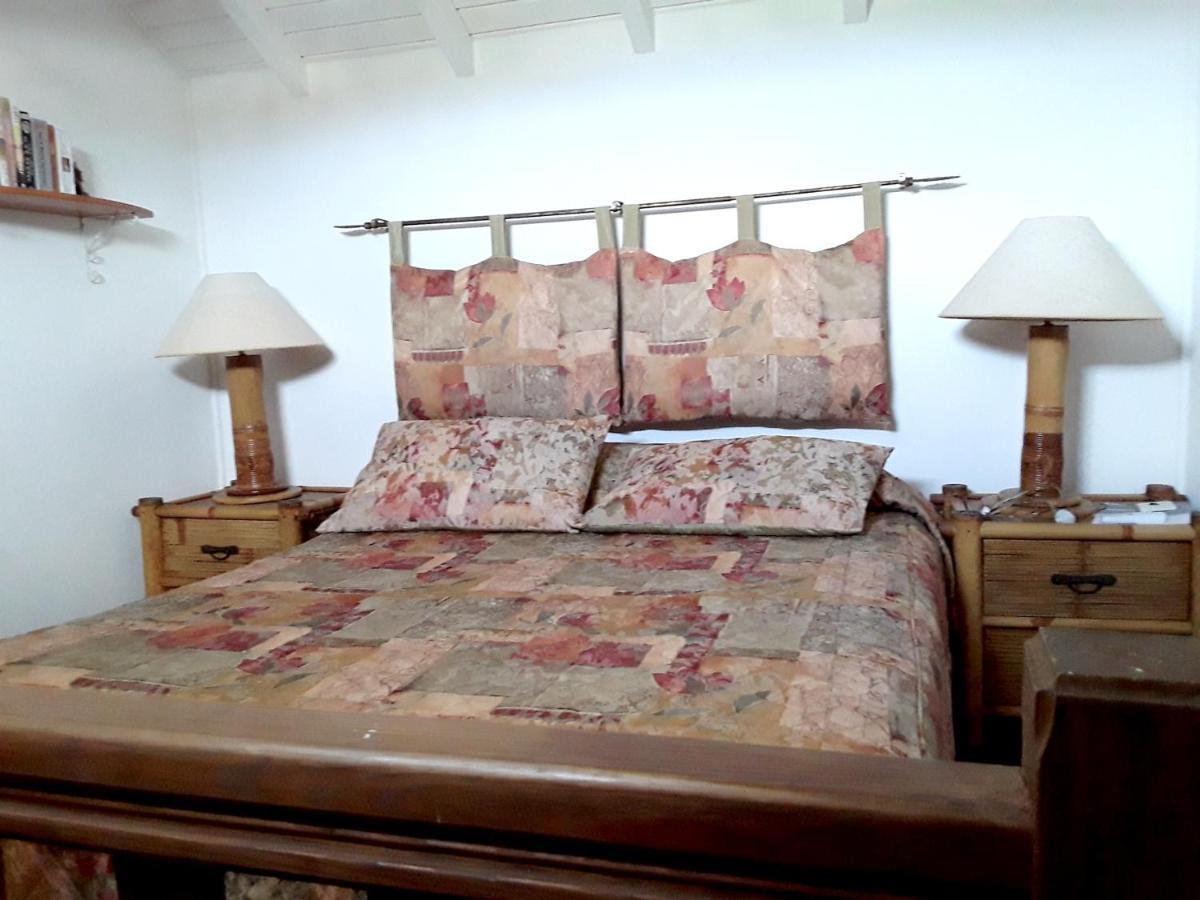Luxurious Villa In Saint Martin Cul de Sac ภายนอก รูปภาพ
